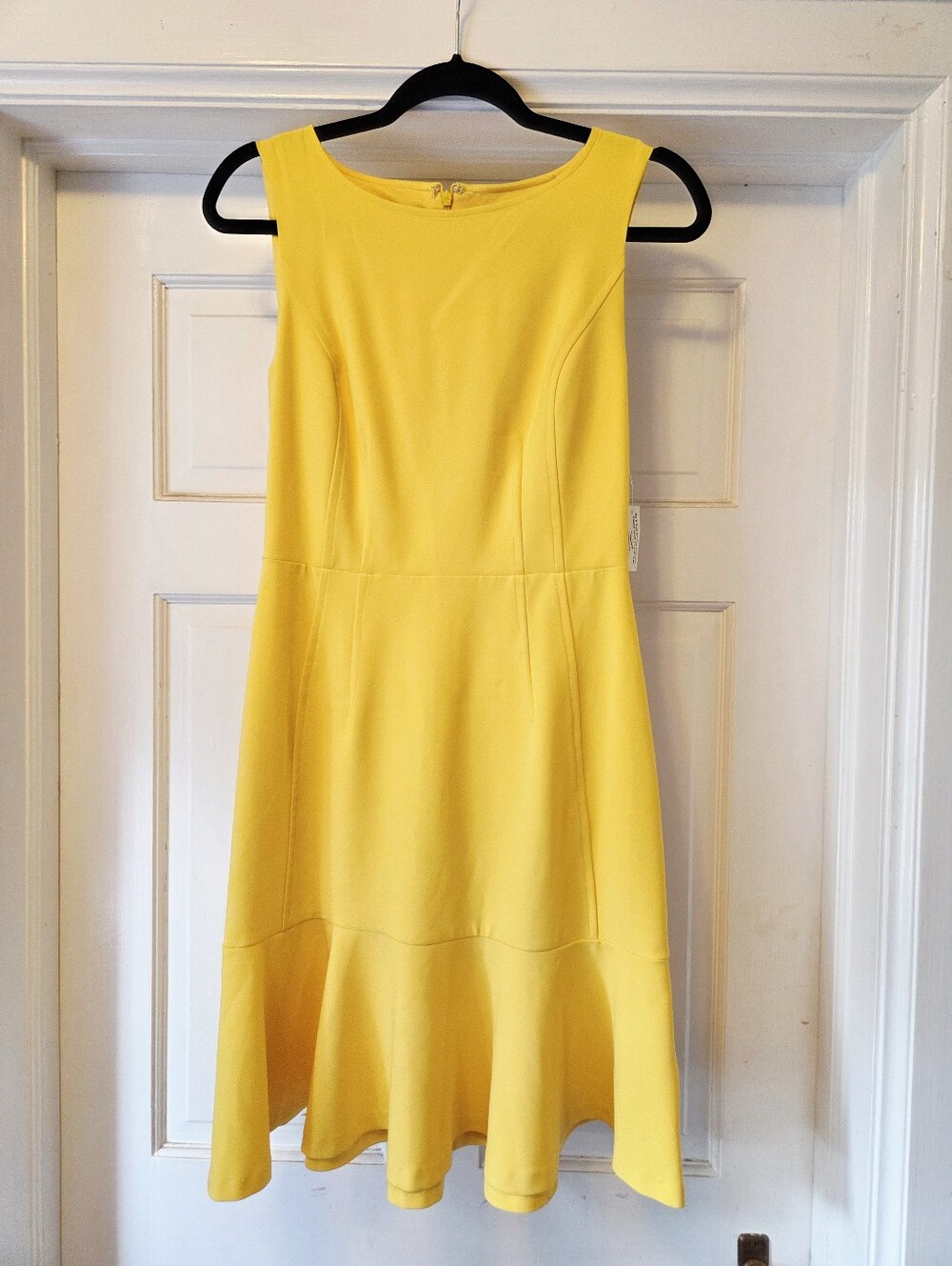 Lark and Ro Sleeveless Ruffle Hem shift dress NWT size 4